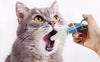 1Pc Blue Pet Medicine Feeder Liquid Oral Syringe Milk Nursing Bottles Syringe Soft Tip Plastic Pet Medical Feeding Tool for Dog Puppy Cat, Kitten Nursing Supplies
