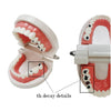 Dental Study Teaching Teeth Model Rotten Tooth Decay Caries Care Dentist Equipment Denture