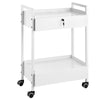 VEVOR Lab Rolling Cart, 3-Shelf Stainless Steel Rolling Cart, Lab Serving Cart with Swivel Casters, Dental Utility Cart for Clinic, Lab, Hospital, Salon, 26.38"x15.55"x34.13"