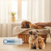 1Pc Blue Pet Medicine Feeder Liquid Oral Syringe Milk Nursing Bottles Syringe Soft Tip Plastic Pet Medical Feeding Tool for Dog Puppy Cat, Kitten Nursing Supplies