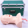 Airway Management Trainer Mannequin Mouth and Nose Training Suction Practice Model, Anatomical Model Skeleton Model, Suitable for Laboratory Education School