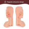 Advanced Suction Training Kit, Simulator Airway Manikin for Medical Practice, Nursing Education & Clinical Skill Development