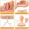 Advanced Suction Training Model, Suck Sputum Training Simulator for Nursing Medical Science Lab Study Practice
