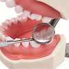 12pcs Dental Stainless Steel Mouth Mirror Head Odontoscope Mirror Reflector Dentist Equipment Oral Teeth Exam Care Mirrors (Size 4)