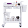 VEVOR Medical Mobile Trolley Cart with 2 Drawers & 3 Trash Cans, 2 Tiers Beauty Salon Rolling Trolley with 4 Silent Wheels & 2 Dirts Bucket & Bowl, Medical Utility Cart for Hospital Dental Clinic Lab