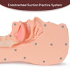 Advanced Suction Training Kit, Simulator Airway Manikin for Medical Practice, Nursing Education & Clinical Skill Development