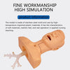Advanced Suction Training Model, Suck Sputum Training Simulator for Nursing Medical Science Lab Study Practice