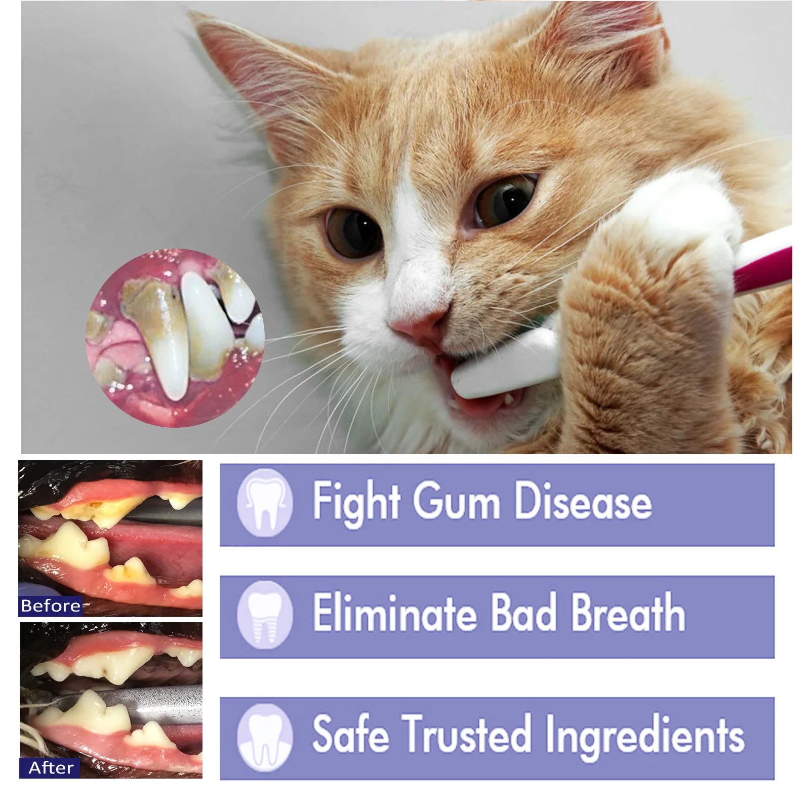 Yegbong 50g Pet Oral Cleaning Cream Whiten Teeth Toothpaste Eliminate Bad Breath Cats Dogs Clean Tartar Teeth Stains Toothpaste