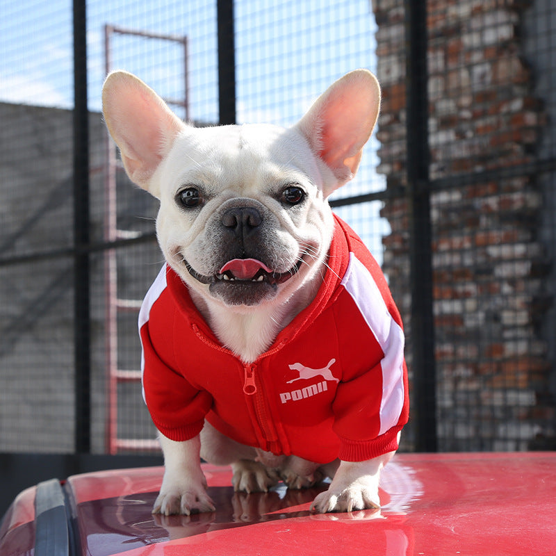 Manufacturer Customizes Pet Clothes for Autumn and Winter, Warm Trendy Brand Sweatshirts with Letters for Dogs and Cats, Small, Medium and Large Dog Supplies