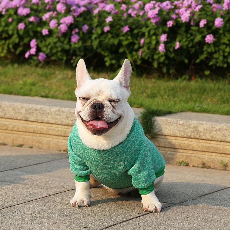 Manufacturer Customizes French Bulldog, Pug, Dog, Cat, Pet Clothes, Autumn and Winter Sweatshirts, Two-Legged Clothing Supplies, Yarn