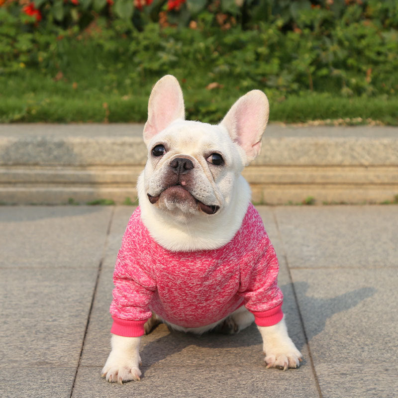 Manufacturer Customizes French Bulldog, Pug, Dog, Cat, Pet Clothes, Autumn and Winter Sweatshirts, Two-Legged Clothing Supplies, Yarn