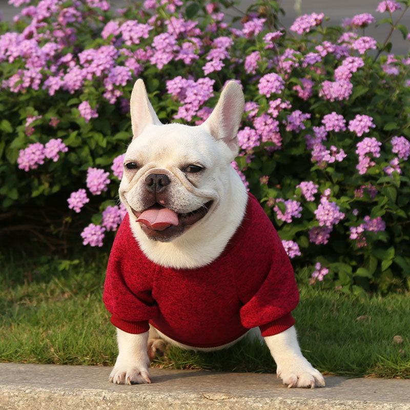 Manufacturer Customizes French Bulldog, Pug, Dog, Cat, Pet Clothes, Autumn and Winter Sweatshirts, Two-Legged Clothing Supplies, Yarn