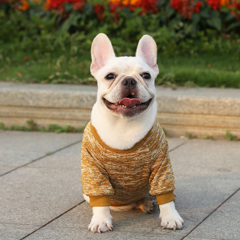 Manufacturer Customizes French Bulldog, Pug, Dog, Cat, Pet Clothes, Autumn and Winter Sweatshirts, Two-Legged Clothing Supplies, Yarn