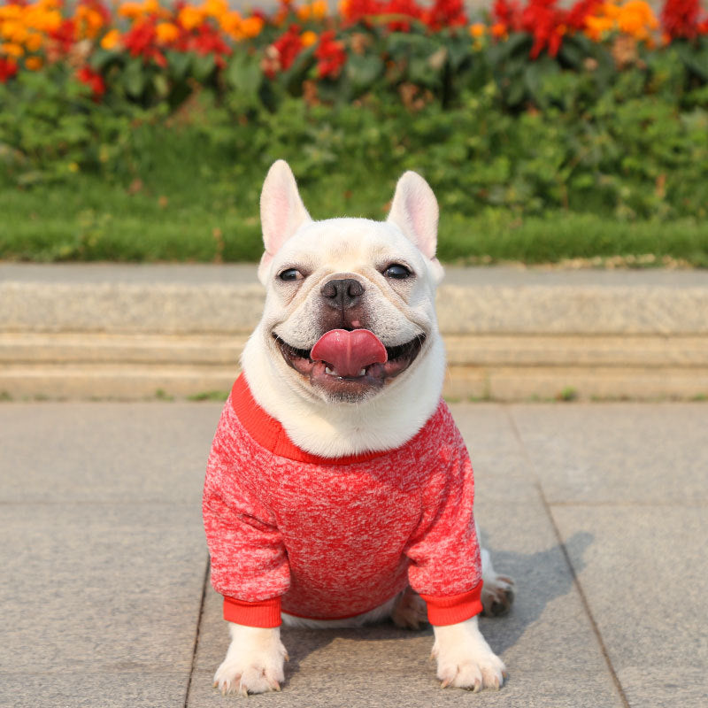 Manufacturer Customizes French Bulldog, Pug, Dog, Cat, Pet Clothes, Autumn and Winter Sweatshirts, Two-Legged Clothing Supplies, Yarn