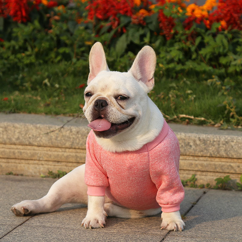 Manufacturer Customizes French Bulldog, Pug, Dog, Cat, Pet Clothes, Autumn and Winter Sweatshirts, Two-Legged Clothing Supplies, Yarn