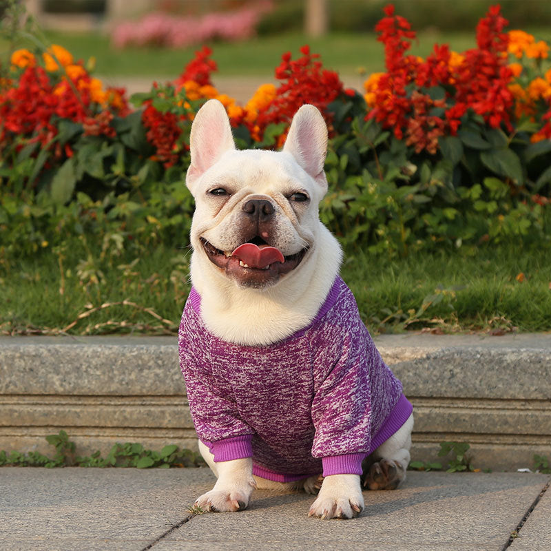 Manufacturer Customizes French Bulldog, Pug, Dog, Cat, Pet Clothes, Autumn and Winter Sweatshirts, Two-Legged Clothing Supplies, Yarn