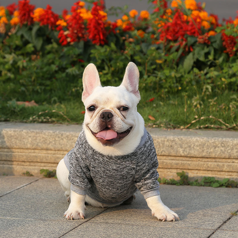 Manufacturer Customizes French Bulldog, Pug, Dog, Cat, Pet Clothes, Autumn and Winter Sweatshirts, Two-Legged Clothing Supplies, Yarn