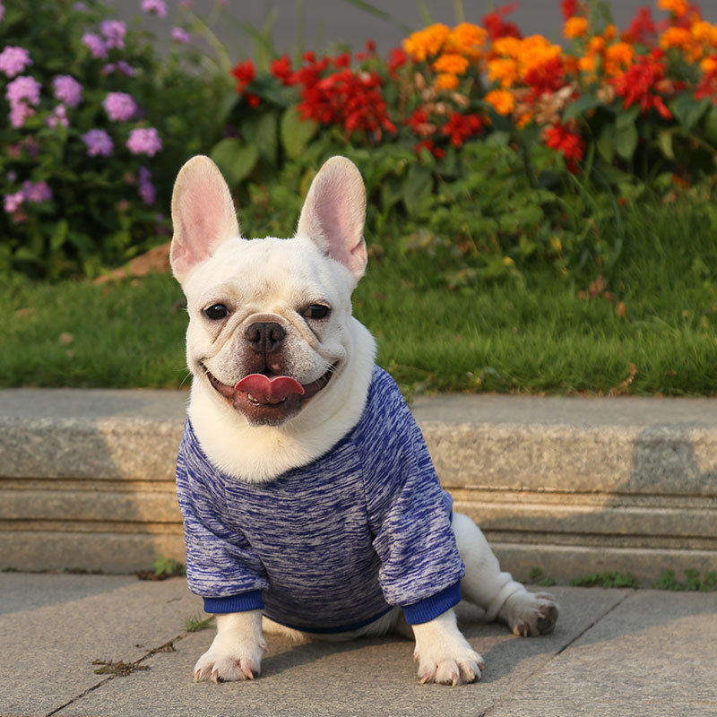 Manufacturer Customizes French Bulldog, Pug, Dog, Cat, Pet Clothes, Autumn and Winter Sweatshirts, Two-Legged Clothing Supplies, Yarn