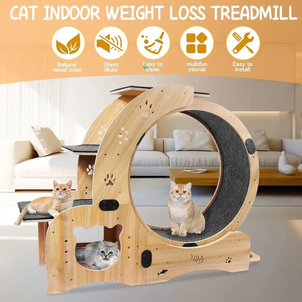 6-in-1 Cat Activity Center: 55 Exercise Wheel, Bed, Scratcher, Climbing, Toys