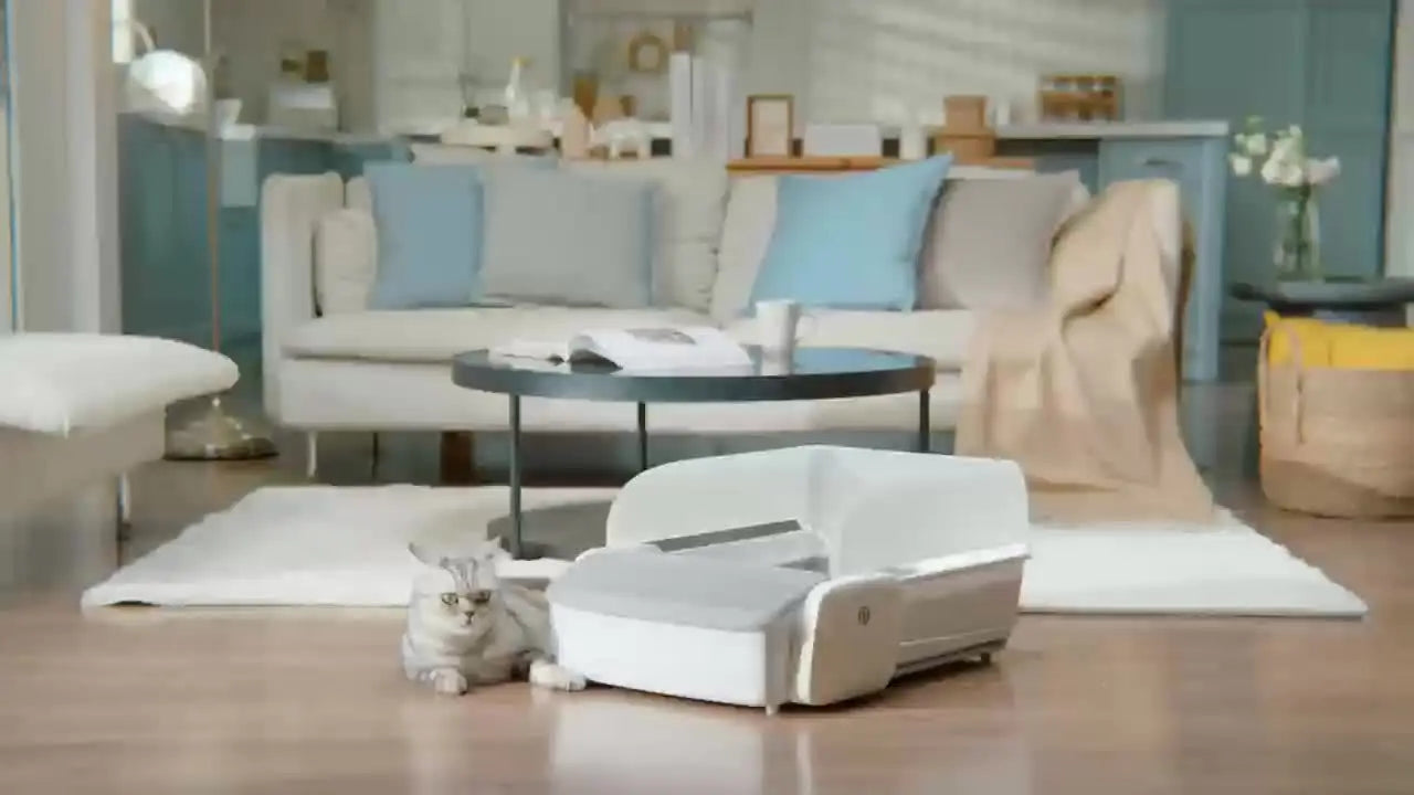 Self Cleaning Automatic Cat Litter Box Robot Open Top Large Capacity App Control Anti Pinch Odor Free Waste System MultiCat Free