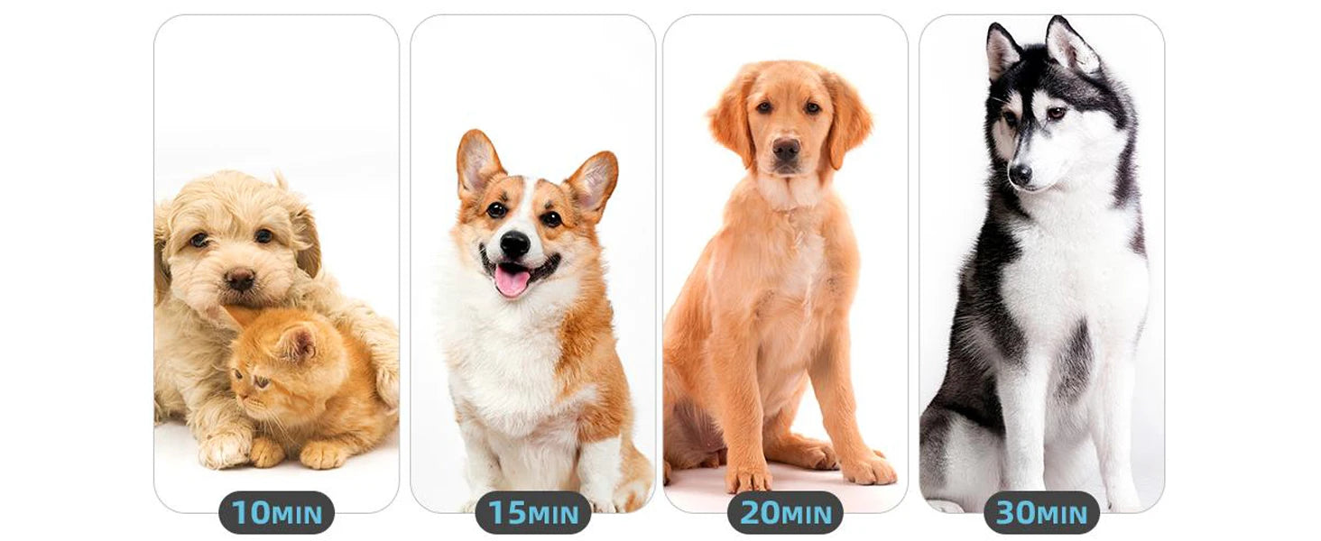 Dog Hair Dryer, 3.8HP 2800W Pet Grooming Blower for Large Dogs Hair Force Blaster with Heat, Stepless Speed Adjustable