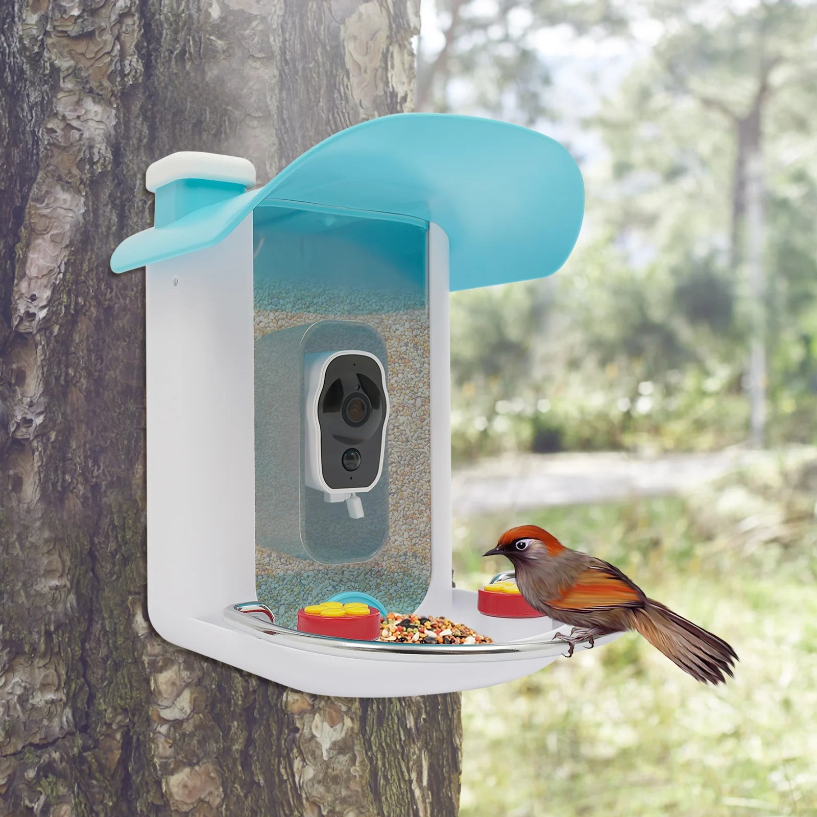 Smart Bird Feeder with Camera, Bird House for Outside, Bird Auto Capture with Solar Panel Can Attract Sparrows, Hummingbirds
