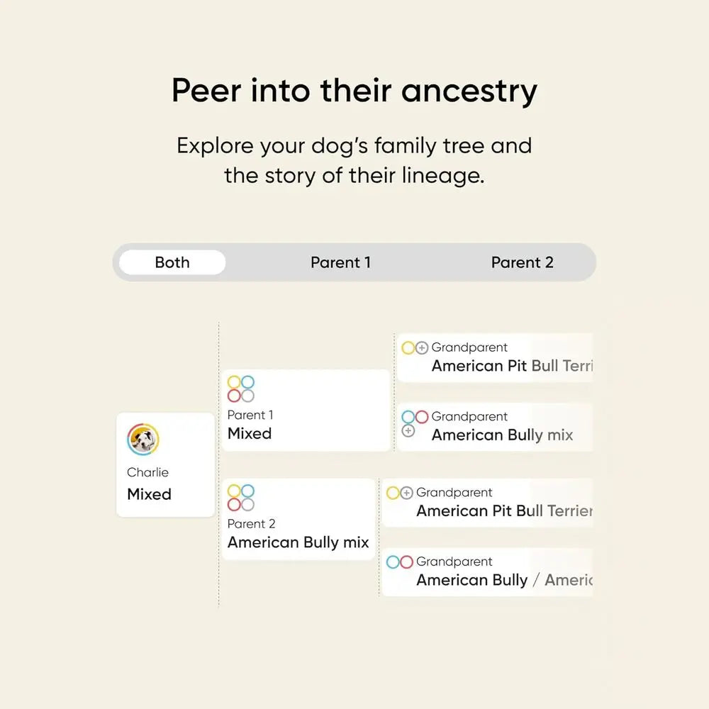 Embark Breed & Health Kit - Dog DNA Testing Kit - Discover Breed, Ancestry, Relative Finder, Genetic Health, Traits, Allergy Ris