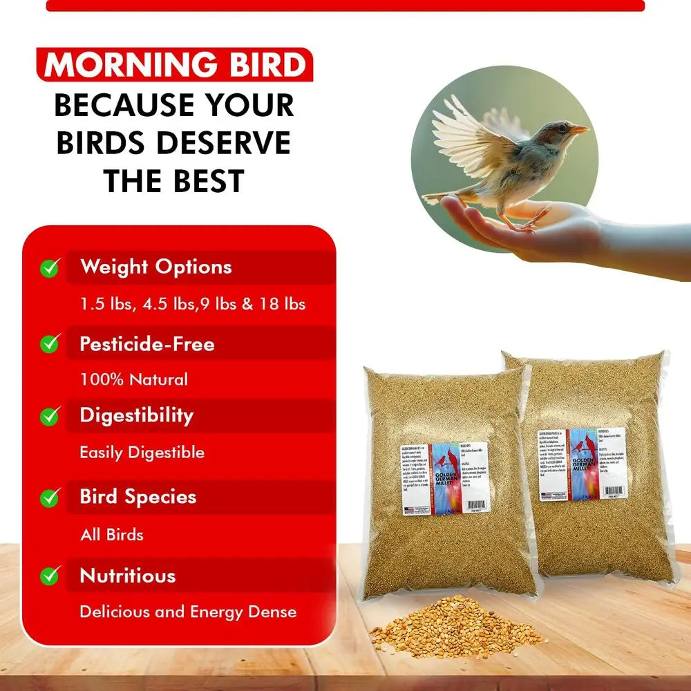 Golden German Millet – Bird Seed & Parakeet Food with Protein & Vitamin B – Easy-to-Digest Millet Seed, Natural Food & Daily Nut