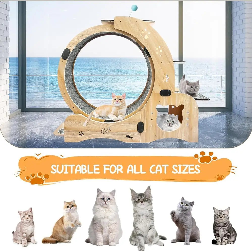 6-in-1 Indoor Cat Wheel: Exercise, Scratch, Climb, Play & Rest - Ideal for Large Cats
