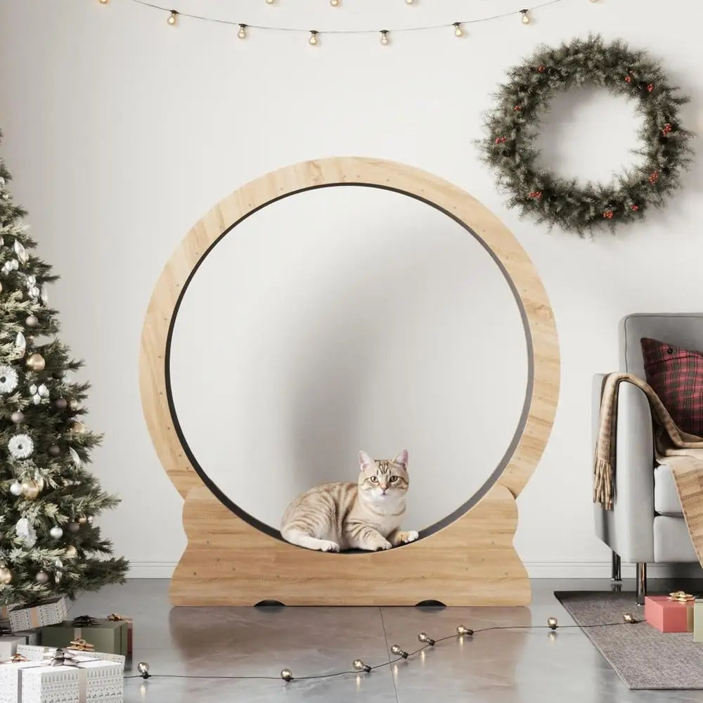 Extra Large 43.3 Indoor Cat Exercise Wheel with Removable Carpet and Teaser for Running, Walking, and Training - Natural Wood