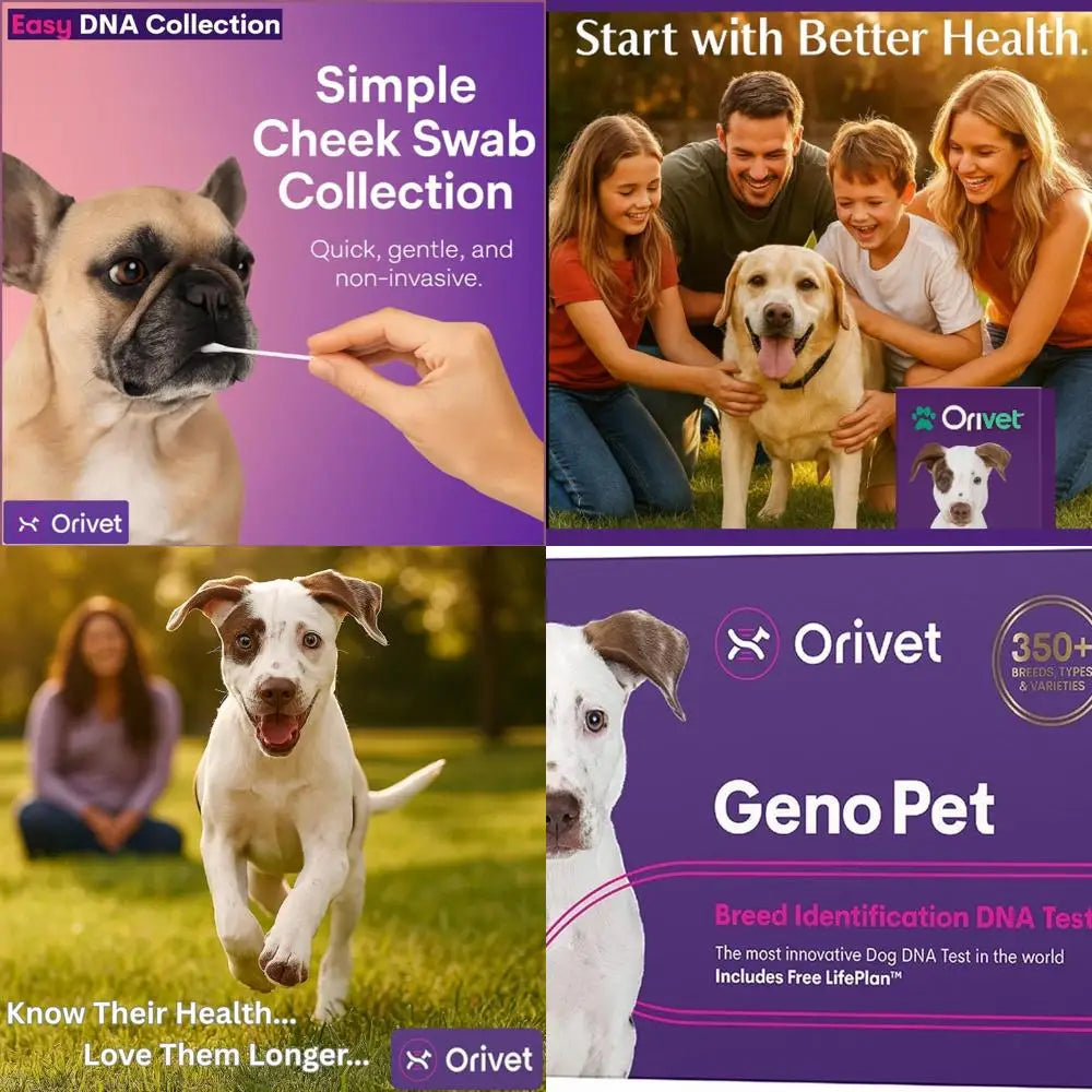 ORIVET GenoPet Dog DNA Test – Dog Breed Test Kit USA | Canine Ancestry & Genetic Health Screening by Age, Weight & Gender | at-H