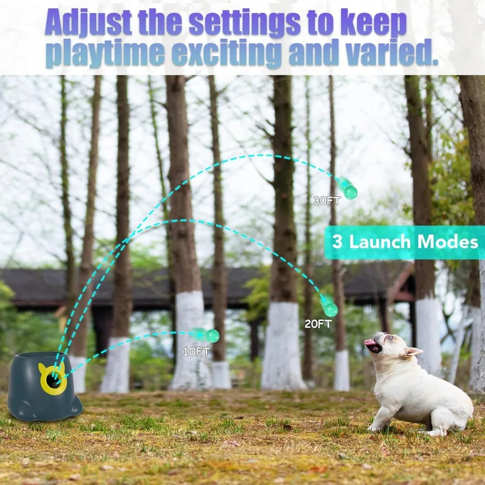 Automatic Dog Ball Launcher - Interactive Self-Playing Fetch Toy for Small Dogs with 3 Adjustable Throw Distances