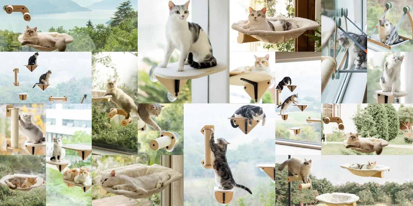 Mewoofun Cat Window Perch Hammock with Climbing Steps and Scratching Post Wooden Window Mounted Cat Bed for Indoor Cats