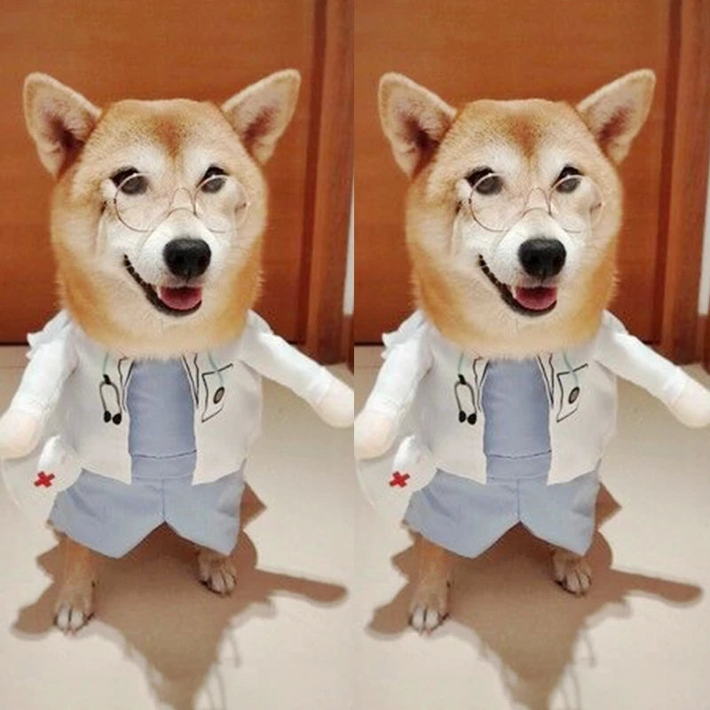 Funny Cat Clothes Dog Cat Cosplays Clothes Pet Jumpsuit Suit Dog Dress Chihuahua French Bulldog Dog Outfits Clothing