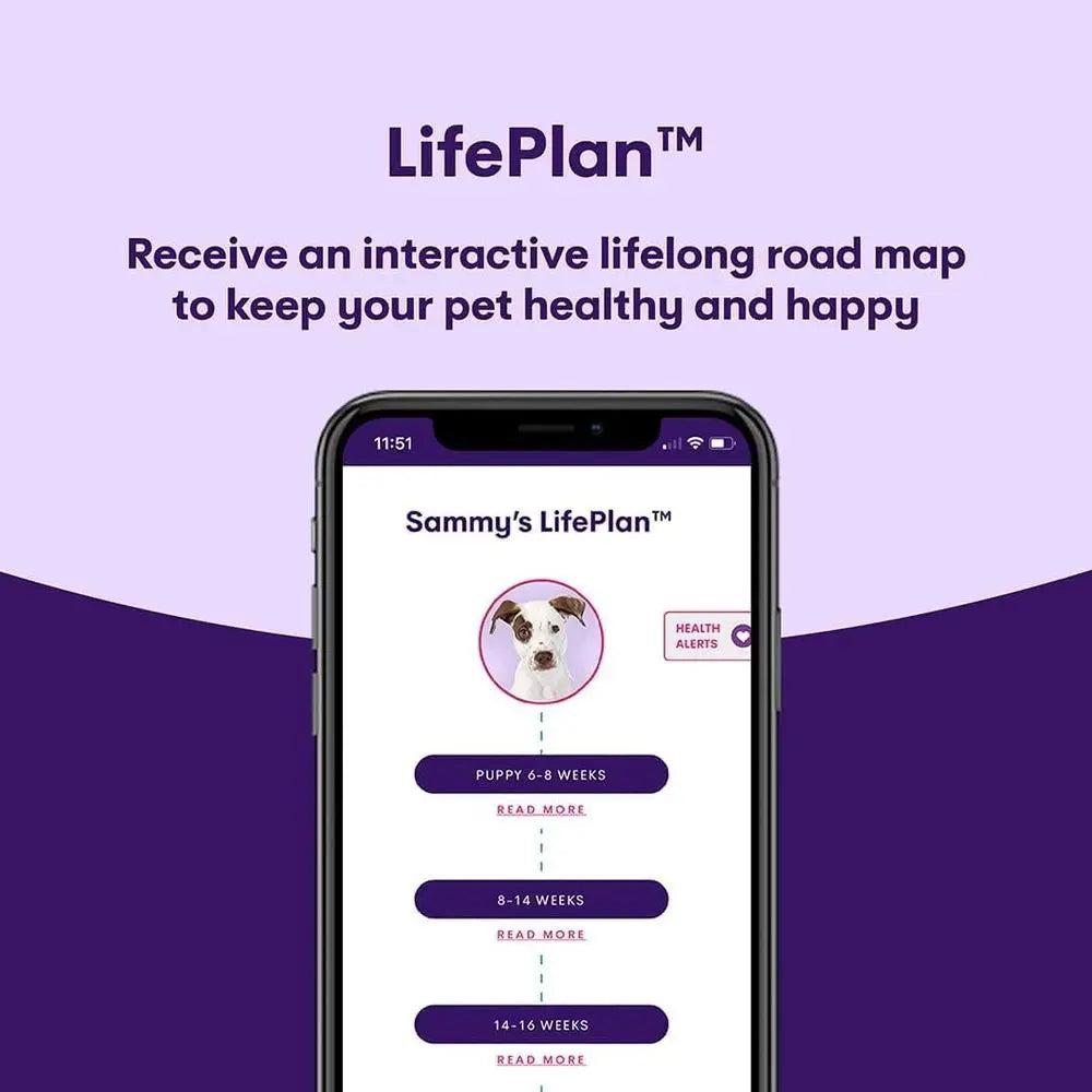 ORIVET GenoPet Dog DNA Test – Dog Breed Test Kit USA | Canine Ancestry & Genetic Health Screening by Age, Weight & Gender | at-H