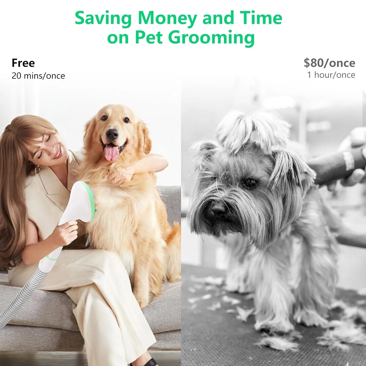 Pet Grooming Kit with 2L Vacuum Suction 99% Pet Hair, Professional Quiet Dog Grooming Vacuum Kit with 5 Grooming Tools For Pets