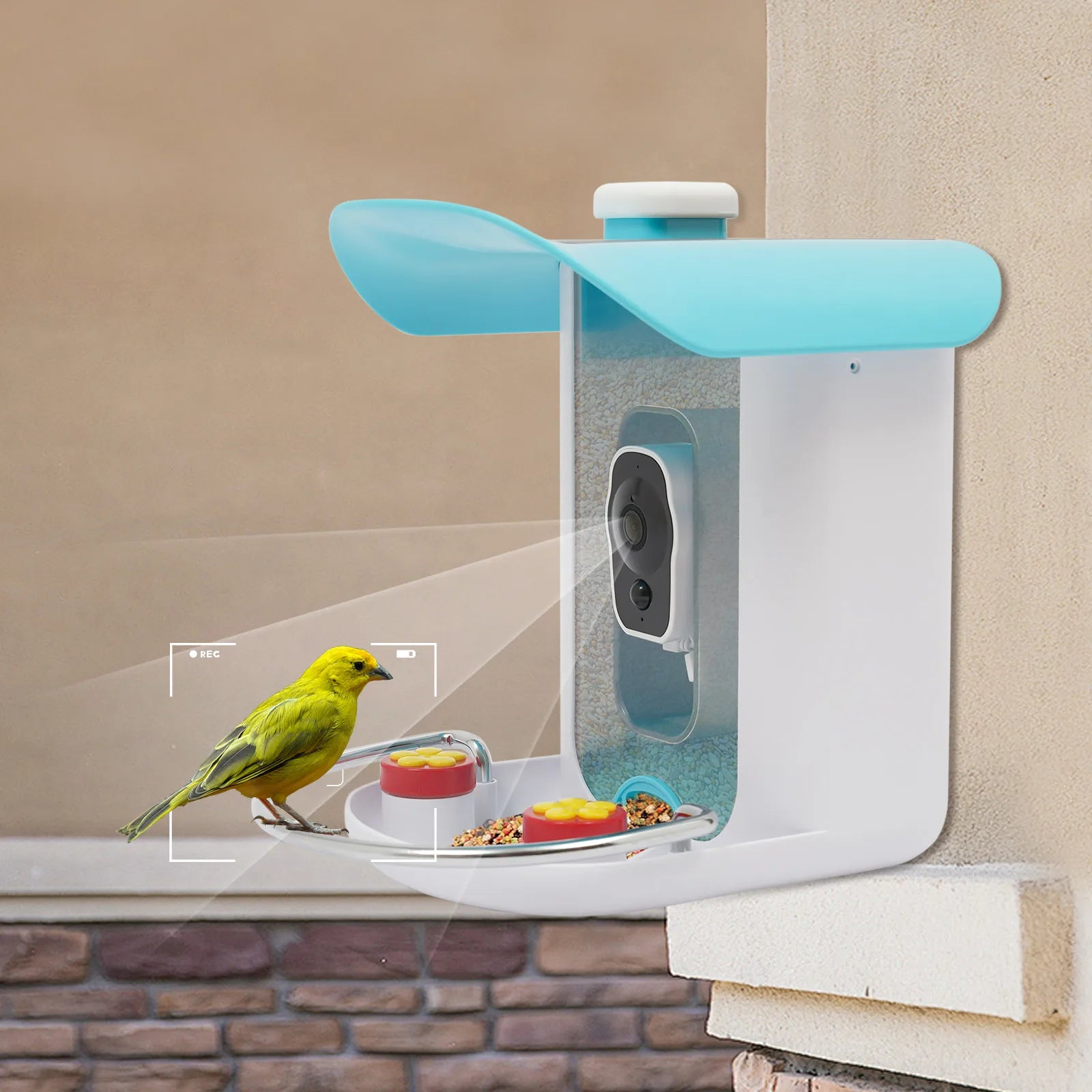 Smart Bird Feeder with Camera, Bird House for Outside, Bird Auto Capture with Solar Panel Can Attract Sparrows, Hummingbirds