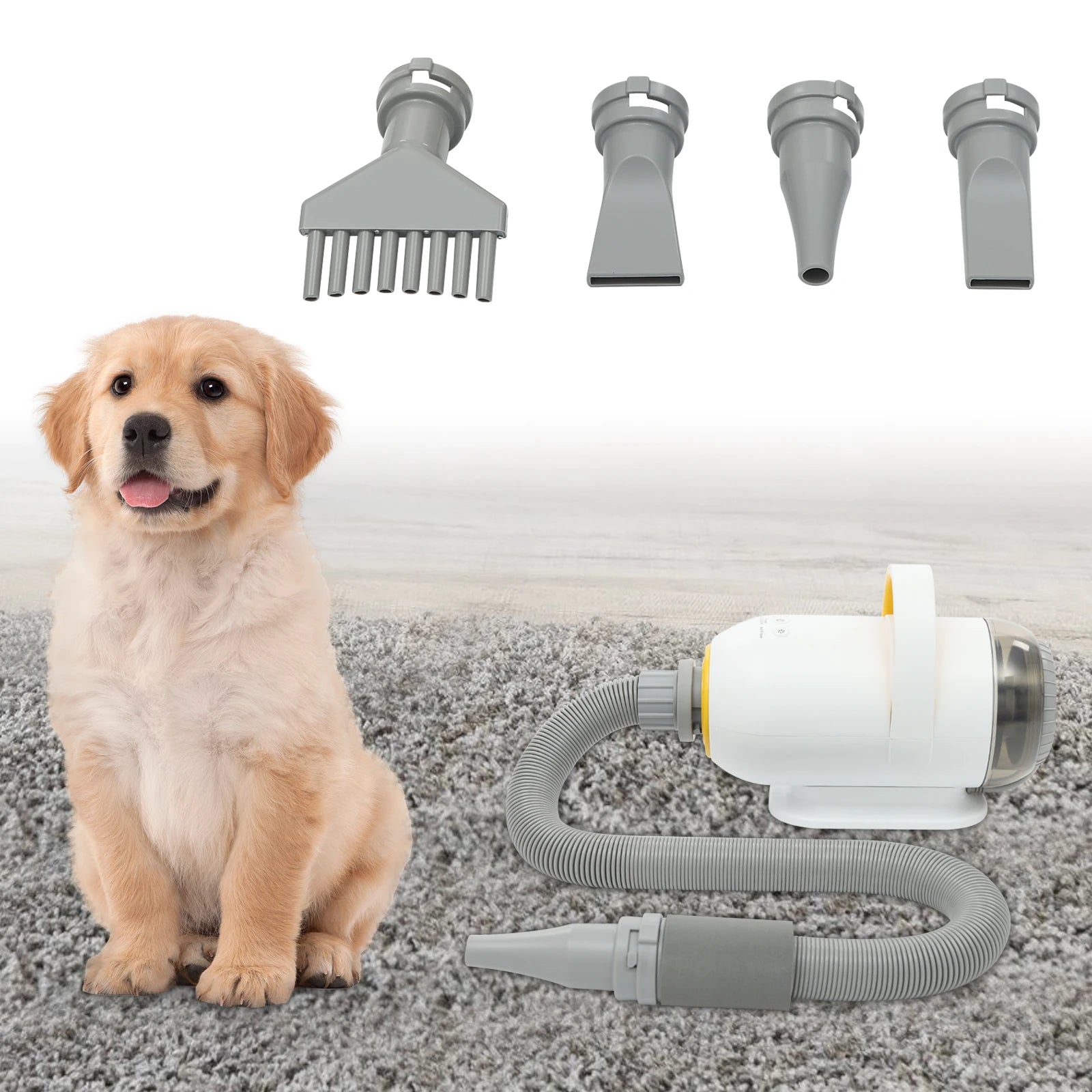 Automatic Pet Dryer Machine Cat Dogs Dryer Box 600W/1000W/2800W Smart Dryer Water Blower Adjustable Blow-Dryer for Pet Grooming