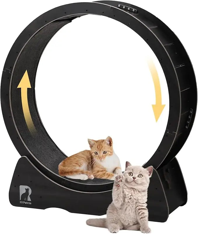Indoor Silent Cat Exercise Wheel, 43 Non-Tip, Supports Up to 55 lbs, Easy Assembly