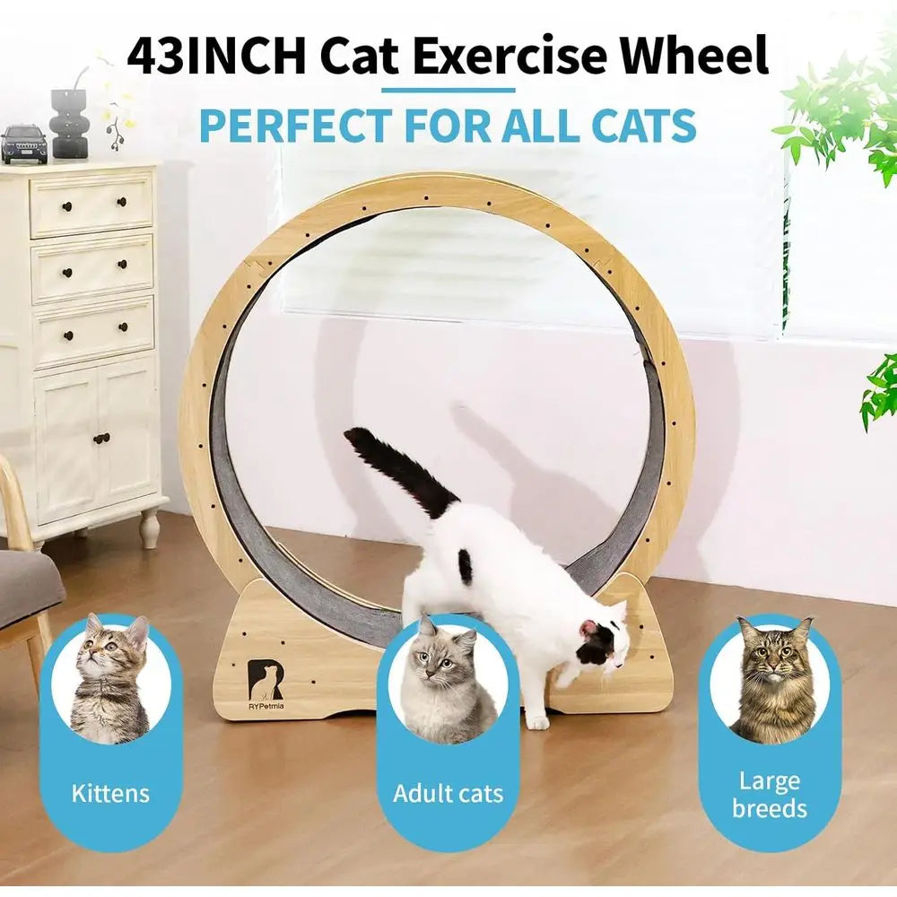 Indoor Silent Cat Exercise Wheel, 43 Non-Tip, Supports Up to 55 lbs, Easy Assembly