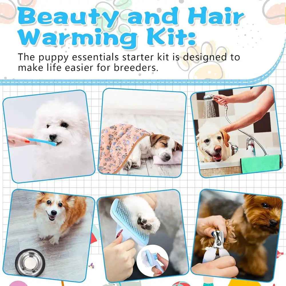 65 Pcs Puppy Supplies Starter Kit Small Dog Essentials Includes Dog Leash, Toys, Bowl, Brushes, Water Bottles, pet Blankets Pupp