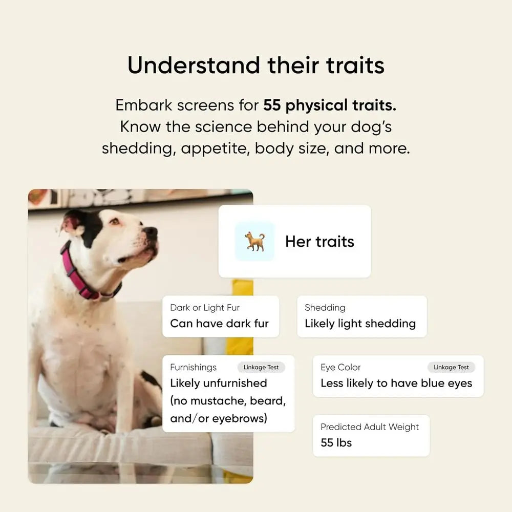 Embark Breed & Health Kit - Dog DNA Testing Kit - Discover Breed, Ancestry, Relative Finder, Genetic Health, Traits, Allergy Ris