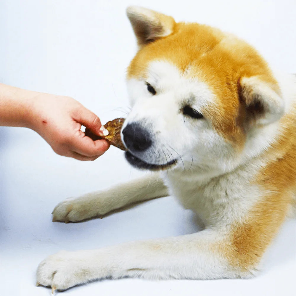 7.05oz/14.11oz(200g/400g) Dog Steak Treat, All Natural Ingredients, Natural Dog Treats, Healthy, Easily Digestible