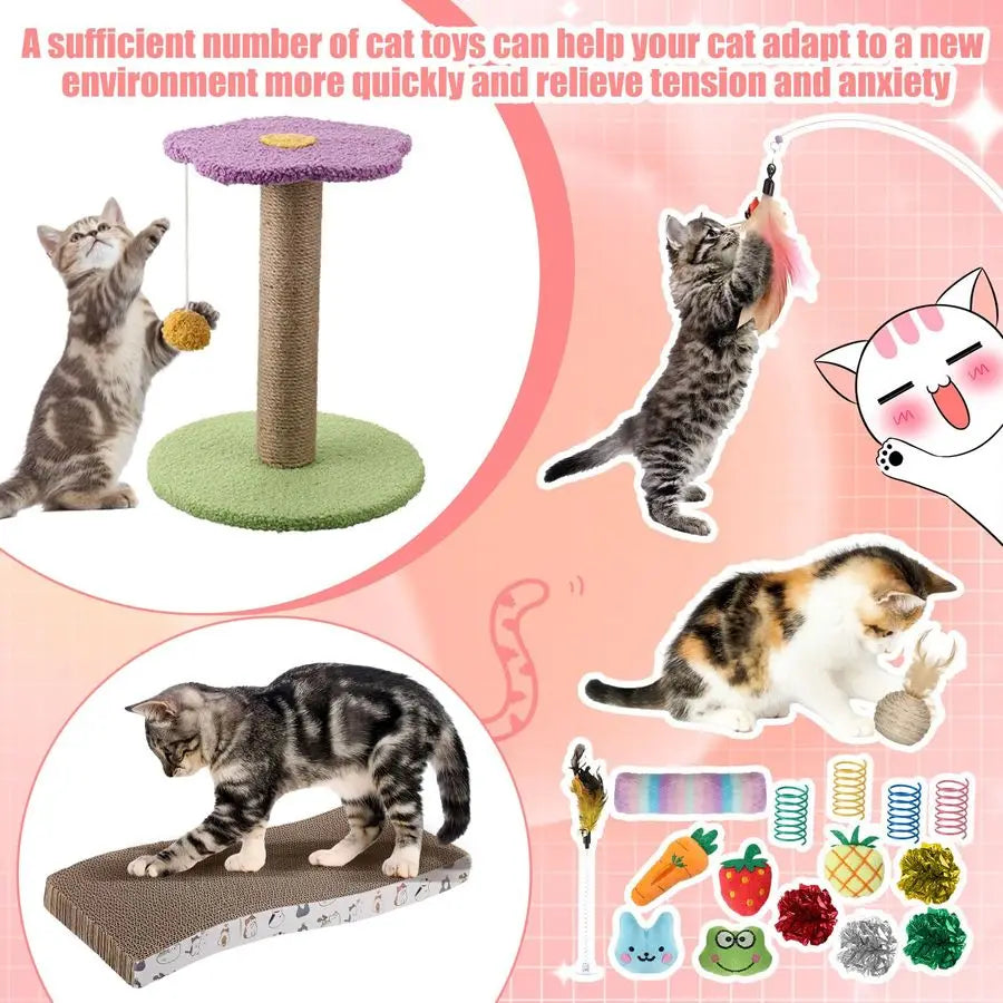 Pcs Kitten Starter Kit for Indoor Cats Include Cat Litter Box Toys, Hammock, Bed Scratch Pad, Climbing Post, Feed Bowls, Mat, Co