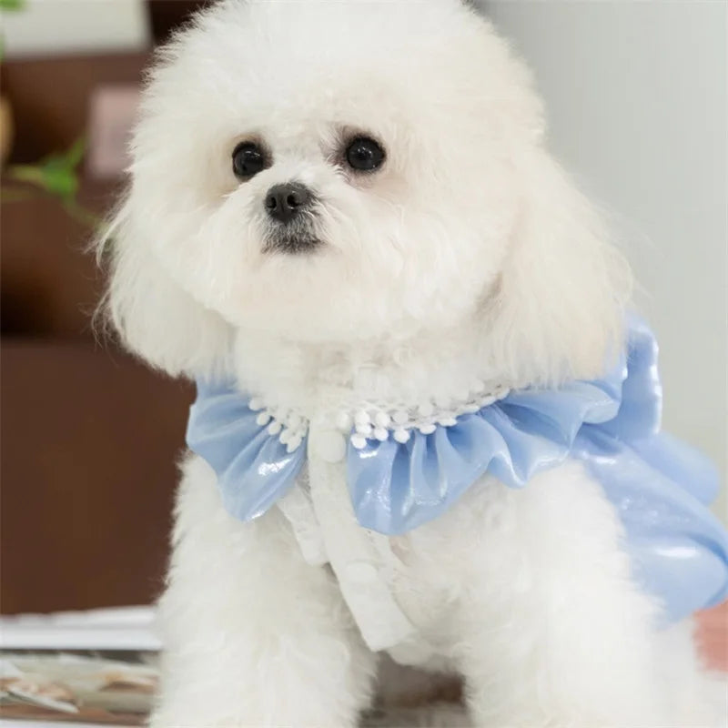 Adorable Small Dog Tutu Dress with Bowknot Lace Princess Puppy Clothes Outfit Apparel Female Cute Cat Skirt Patchwork Pet Dress
