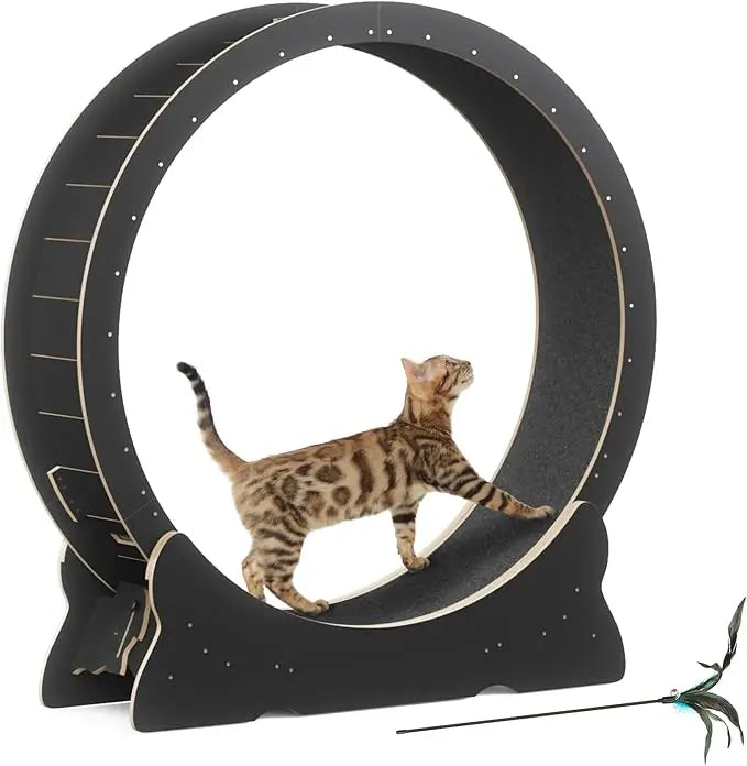 Extra Large 43.3 Indoor Cat Exercise Wheel with Removable Carpet and Teaser for Running, Walking, and Training - Natural Wood