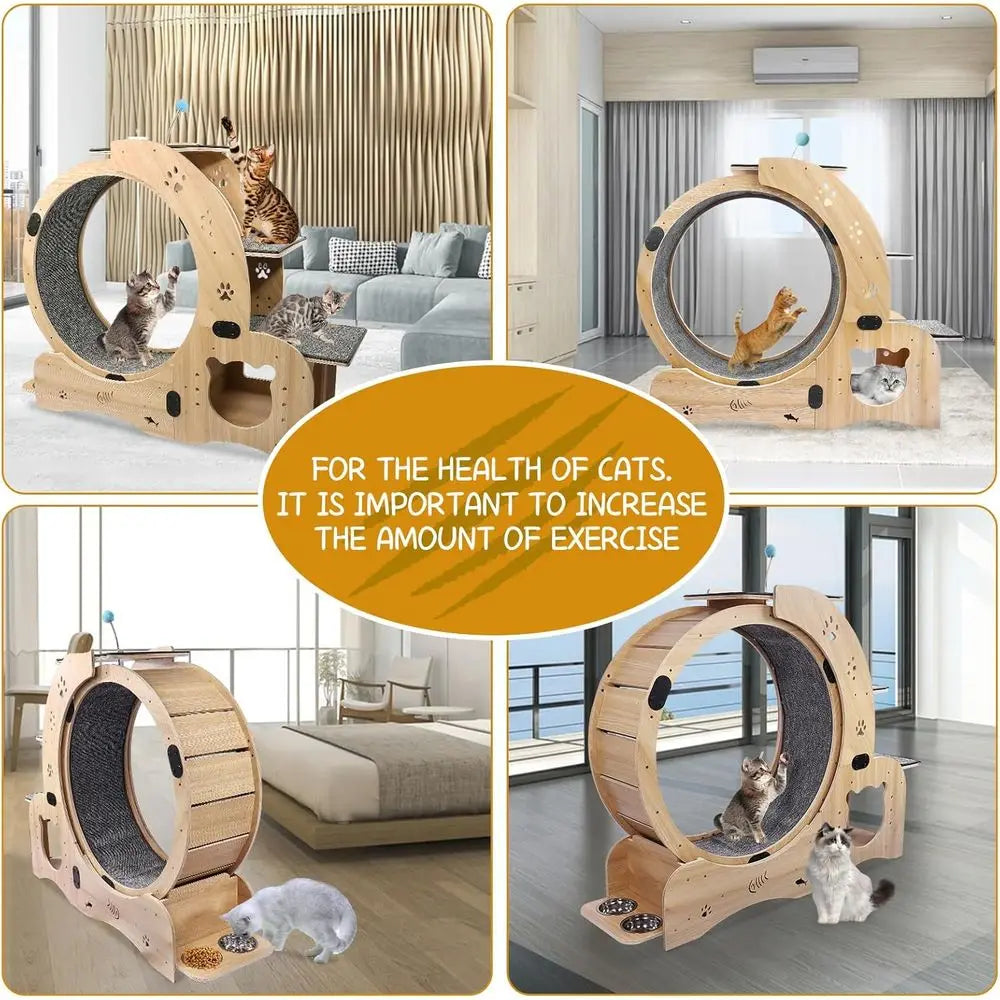 6-in-1 Indoor Cat Wheel: Exercise, Scratch, Climb, Play & Rest - Ideal for Large Cats