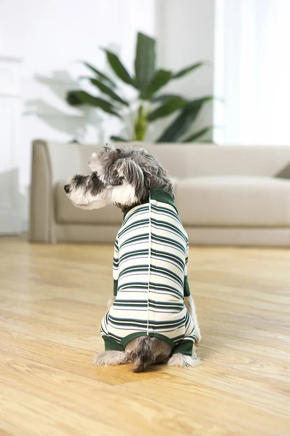 Full Cover Dog Jumpsuit Dog Recovery Suit After Surgery Anti Shedding Bodysuit Pet Claming Pajamas for Small Medium Large Dogs