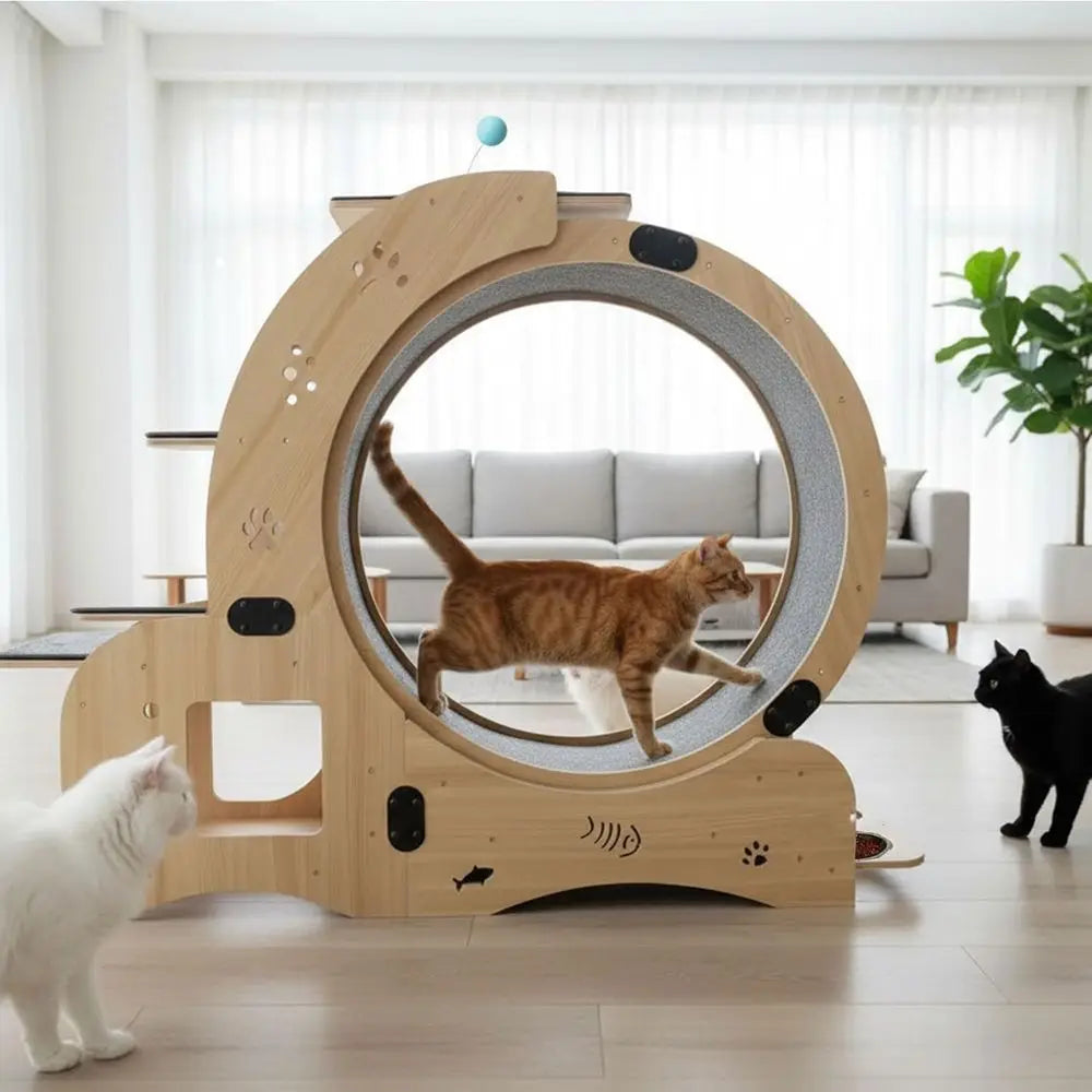 6-in-1 Indoor Cat Wheel: Exercise, Scratch, Climb, Play & Rest - Ideal for Large Cats