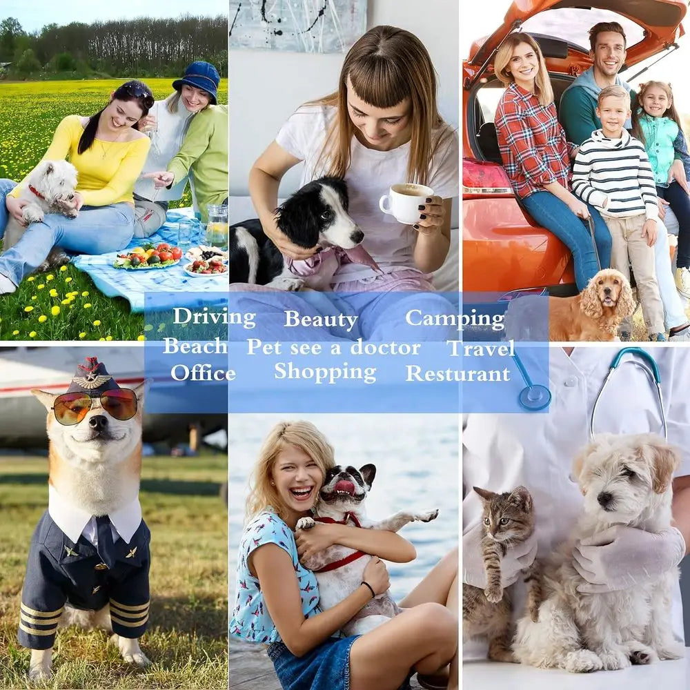 Cat Dog Carrier - Airline Approved Expandable Soft-Sided Pet Carrier with Removable Fleece Pad and Pockets, for Cats/Puppy and S